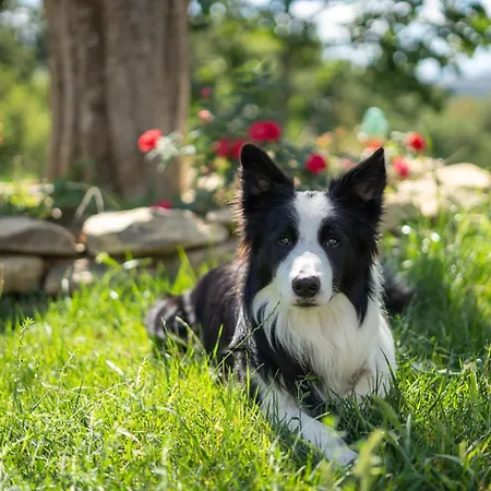 Lumamè Couette-café 4*