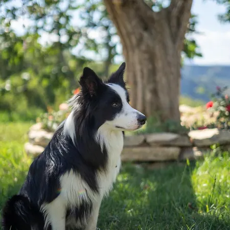 Lumamè Couette-café Montefiore Conca