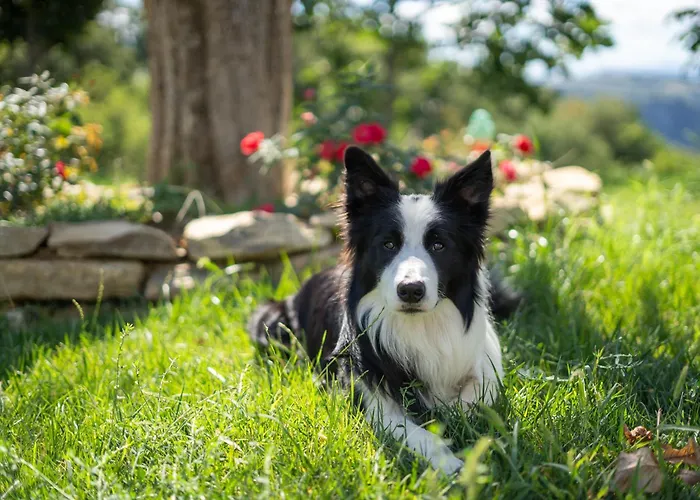 Lumame Nocleg ze śniadaniem 4*